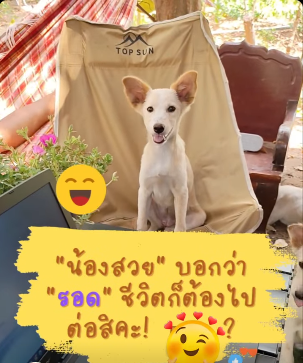 สิ้นเดือนเหมือนสิ้นใจ บิลมารอจ่อคิวจนตาลายไปหมด!