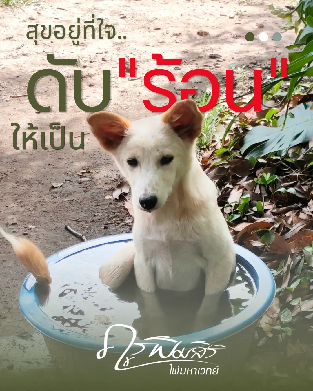 สุขอยู่ที่ใจ ดับร้อนให้เป็น ❤️